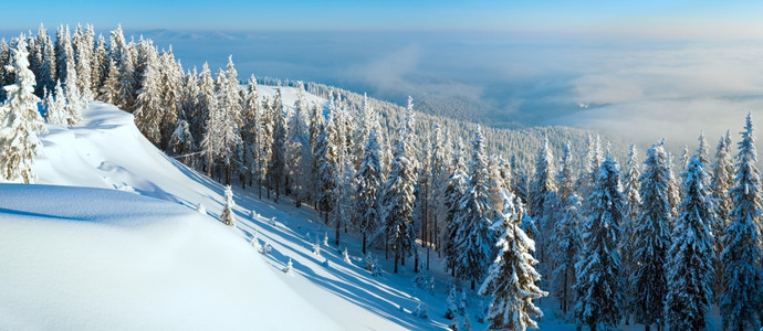 冬季和雪覆盖山顶有fir树和雪流喀尔巴阡山乌克兰图片