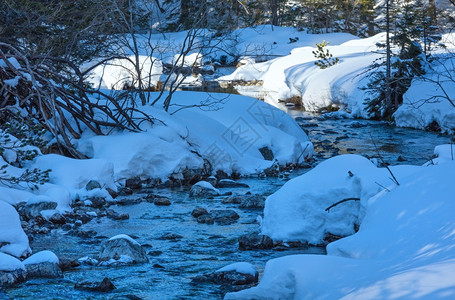 小山流有雪和fir森林图片