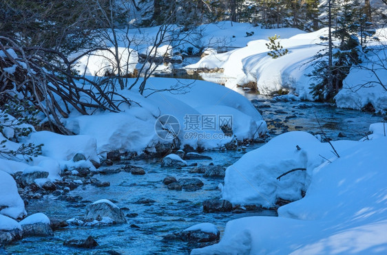 小山流有雪和fir森林图片