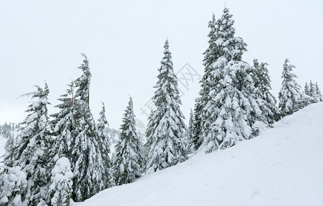 在多云的天气下喀尔巴阡山冬季丘上图片