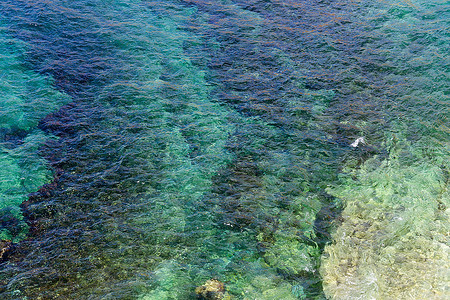 浅的海水表面底部有石块从上面看自然背景图片