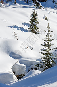 冬雪山丘上长着小毛树溪流在雪地下图片