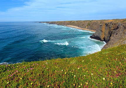 夏季开花的大西洋海岸风景葡萄牙阿尔杰苏加韦利夫纳角图片