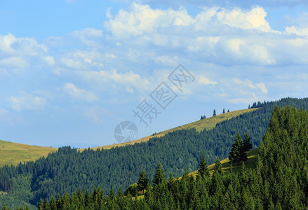 山坡上有森林的夏季山地景观喀尔巴阡山乌克兰最高霍夫纳区伊万诺弗兰基夫斯克地区图片