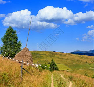 美丽的夏季喀尔巴阡山区景色乌克兰最高霍夫纳区伊万诺弗兰基夫斯克地区图片