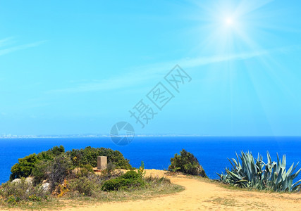 夏日的海阳光岸风景与阿加维植物图片