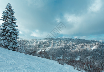 在冬季山坡上用滑雪跑和地表升起的太阳落下第一个阴影SkoleBeskidsLvivOblast喀尔巴阡山脉乌克兰图片