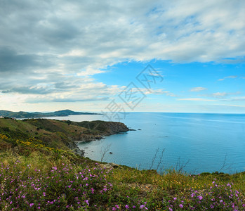 地中海夏夜岸风景有紫色花朵法国卡纳戴尔角的景象图片
