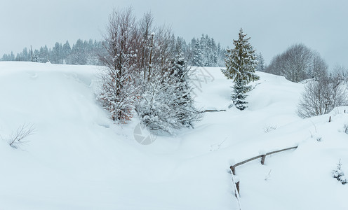 冬季降雪,喀尔巴阡山风景,有雪树三缝合高分辨率全景。图片