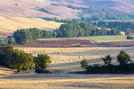 夏日清晨美丽的景色日出乡村山丘和小麦田图片