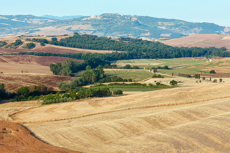 意大利夏季乡村美丽的景色图片