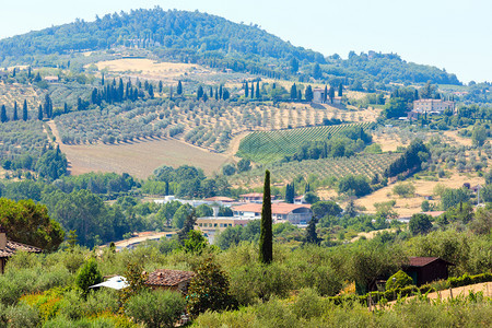 位于皮恩扎城墙的托斯卡纳夏季乡村景色很美意大利地区托斯卡纳山小麦田橄榄园葡萄铁丝网的典型情况图片