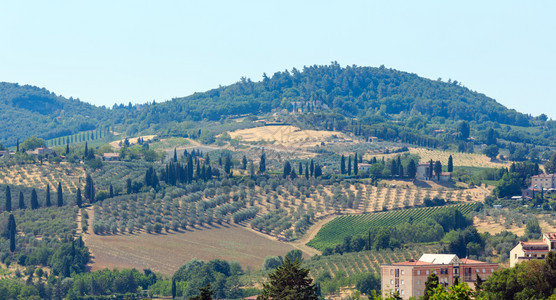 位于皮恩扎城墙的托斯卡纳夏季乡村景色很美意大利地区托斯卡纳山小麦田橄榄园葡萄铁丝网的典型情况图片