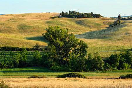 托斯卡纳夏季美丽的景色日出在意大利的乡村托斯卡纳山丘和小麦田的典型图片
