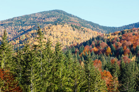 秋天喀尔巴阡山脉景观斯塔拉古伊万诺弗兰基夫斯克州乌兰图片