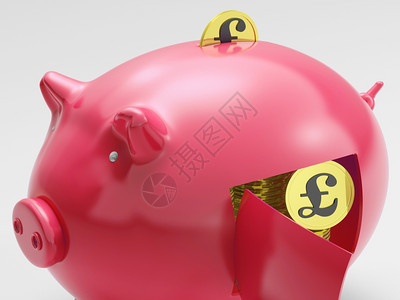 英国猪展示货币和投资图片