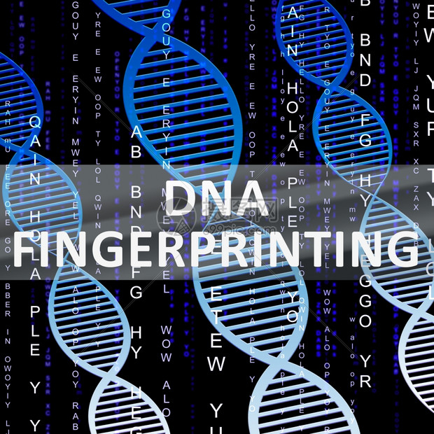 dna指纹显示基因图解3d说明