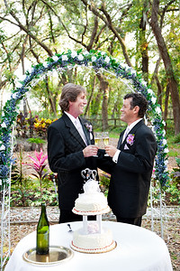 一对快乐英俊的夫妇在花形婚礼拱门下用香槟祝酒前面有两个新郎的结婚蛋糕图片