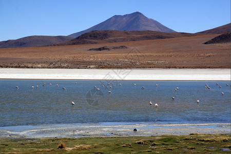 玻利维亚Uyuni附近山和湖泊图片