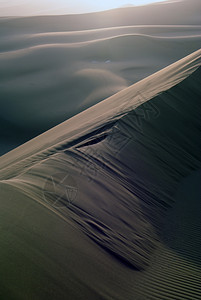 西部的大沙丘图片