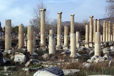 土耳其Aphrosisias的列废墟和树木图片