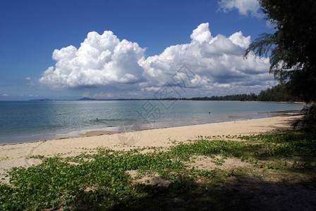 马来西亚东海岸Cheriting海滩图片