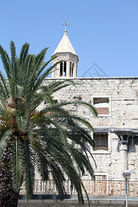 克罗地亚斯普利特迪奥克里宫棕榈树和废墟图片