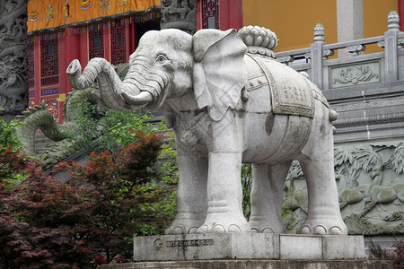 珠华山寺庙附近的大白象图片