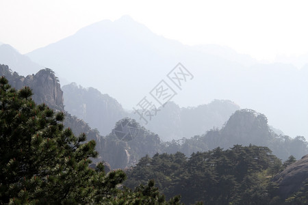 上午在黄山区图片