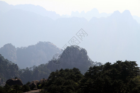 清晨黄山风景图片