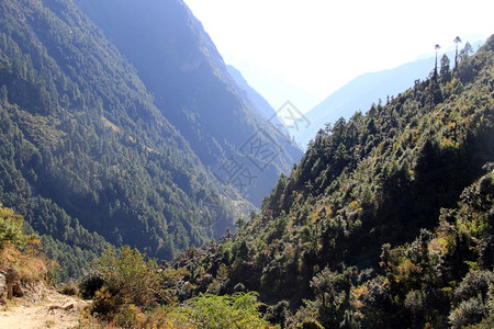 尼泊尔的脚路森林和山区图片