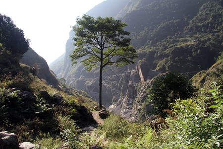 尼泊尔Annapurna小径附近一条路背景图片