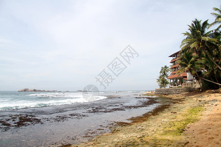 斯里兰卡Hikkaduwa的海滩和棕榈树图片