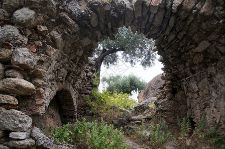 土耳其Yediler修道院的Arch和Arch橄榄树图片