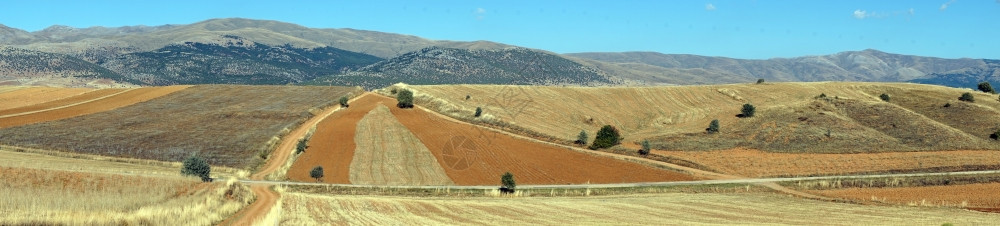 土耳其农田和道路全景图片