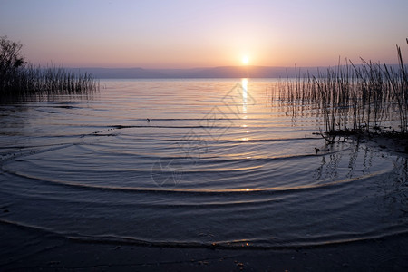 上午以色列Kinneret湖图片