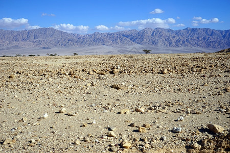 以色列内盖夫沙漠的石块图片