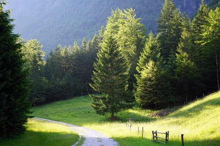 斯洛文尼亚山区的公路和森林图片