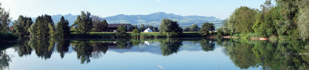 瑞士湖泊和树木全景图片