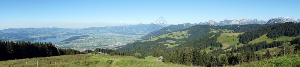 瑞士的绿山和苏黎世湖全景图片