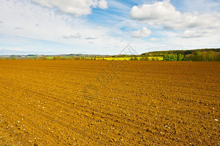 春耕地比利时景观图片
