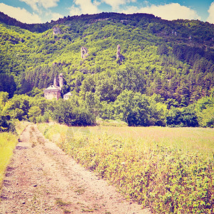 法国阿尔卑斯山的小麦田回溯效应图片
