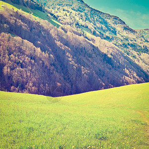 瑞士阿尔卑斯山的梅多高地回溯效应图片