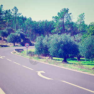 葡萄牙林地灰坡路山之间覆盖着橄榄树的山丘Instagram效应图片