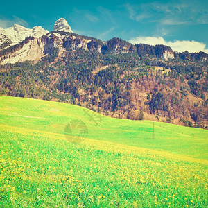 由瑞士山丘铺设的阿尔卑斯山牧场Instagram效应图片