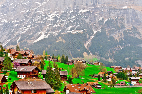 瑞士阿尔卑斯山的小镇高地图片