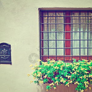 以鲜花装饰的意大利屋面窗口Instagram效应图片