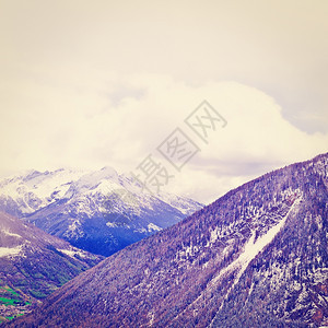 意大利阿尔卑斯山的圣伯纳德口Instagram效应图片