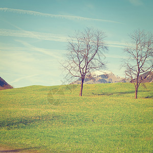 由瑞士山丘铺设的阿尔卑斯山牧场Instagram效应图片