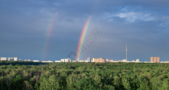 树与彩虹素材城市风景与公园下双彩虹背景